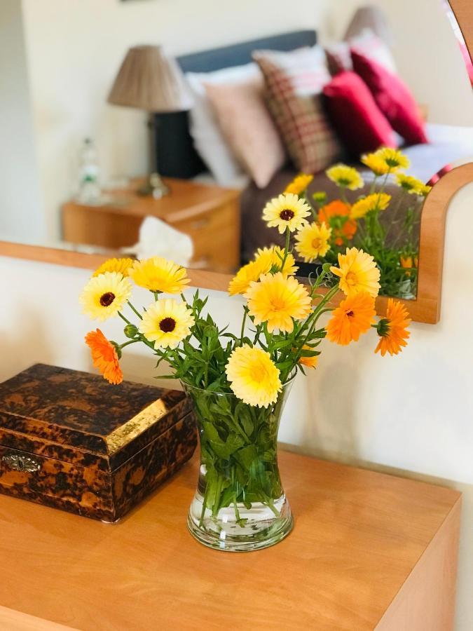 Charming Hen Cottage Countryside Retreat Lincoln Newball ภายนอก รูปภาพ