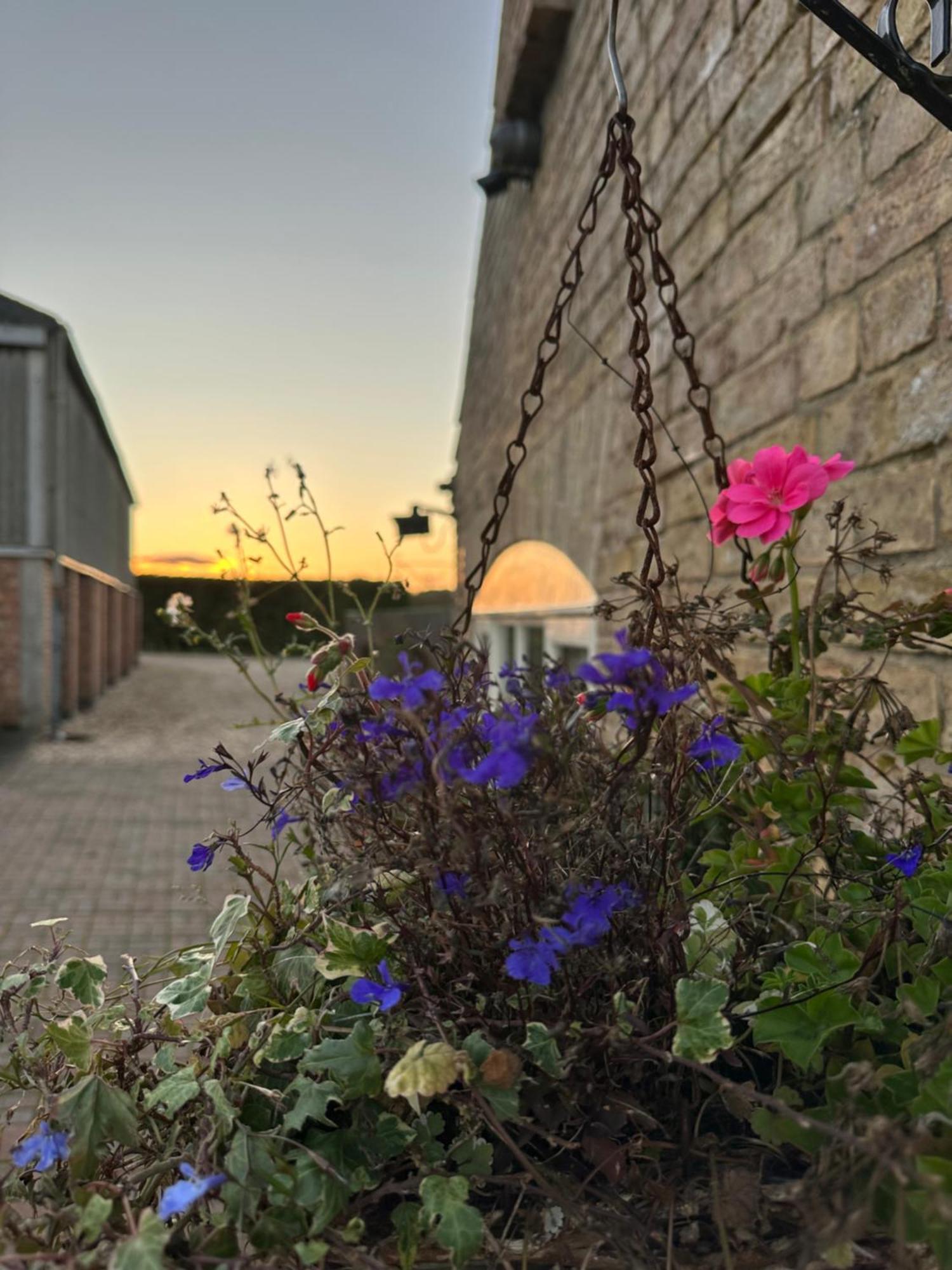 Charming Hen Cottage Countryside Retreat Lincoln Newball ภายนอก รูปภาพ